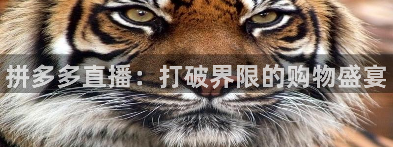 9255tv直播nba在线观看：拼多多直播：打破界限的购物盛宴