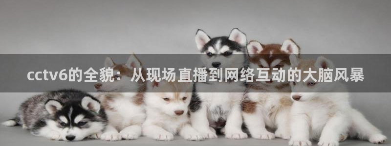 9255tv直播nba在线直播：cctv6的全貌：从现场直播到网络互动的大脑风暴