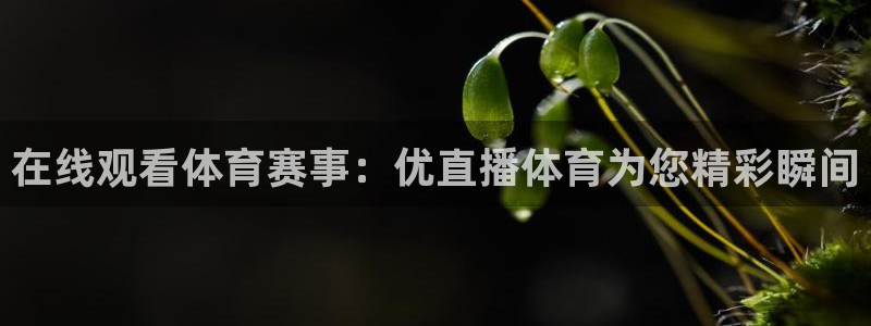 9255tv直播无插件nba：在线观看体育赛事：优直播体育为您精彩瞬间
