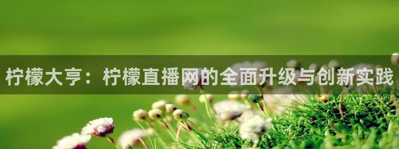 9255tv直播无插件nba：柠檬大亨：柠檬直播网的全面升级与创新实践