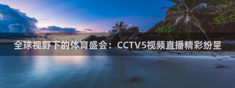 9255tv直播nba在线直播：全球视野下的体育盛会：CCTV5视频直播精彩纷呈