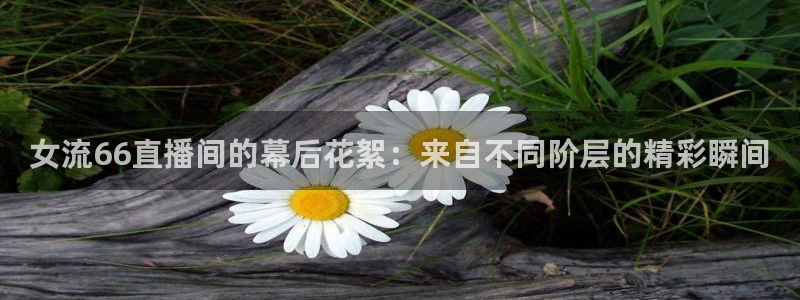 9255tv直播无插件nba：女流66直播间的幕后花絮：来自不同阶层的精彩瞬间