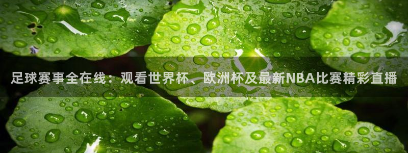 9255tv直播nba在线观看：足球赛事全在线：观看世界杯、欧洲杯及最新NBA比赛精彩直播